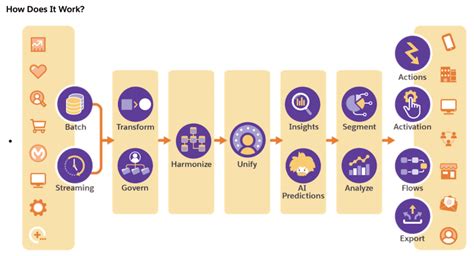 Salesforce Einstein 2025 Free Software
