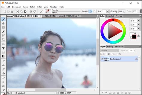 Artweaver 7 Free Software
