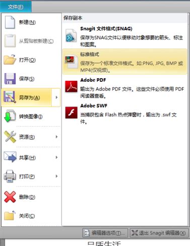 Snagit For Windows 2025 Download And Install
