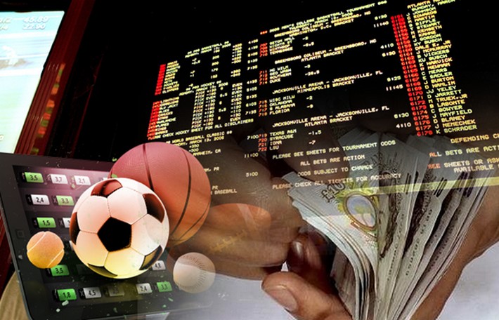 Exploring 56w bet The Future of Online Betting Platforms